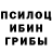 Галлюциногенные грибы Psilocybe braant5856
