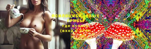 прущий лед Абаза