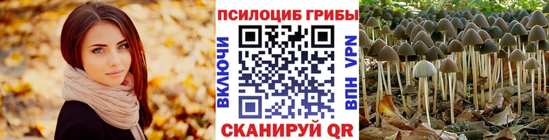 купить наркотики сайты Анадырь Псилоцибиновые грибы мицелий